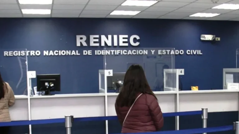 que sucederia si la reniec no existiese
